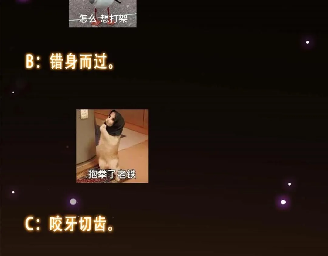 252 紧张的时刻要来了！147