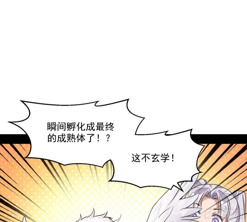物理打鬼12