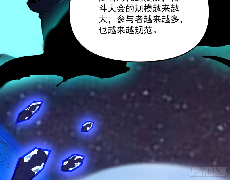 神秘的S级格斗家20