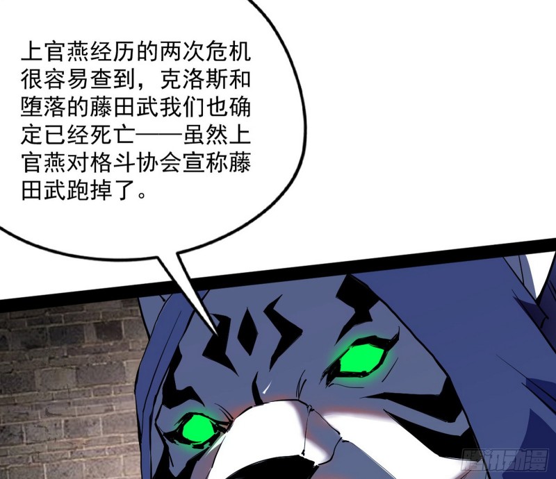 神秘的S级格斗家88