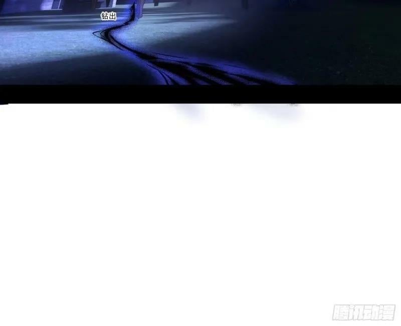 赛雅皇后73