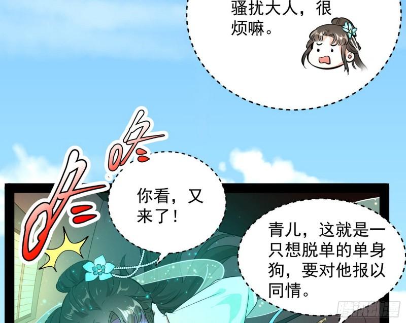 请按套路出牌31