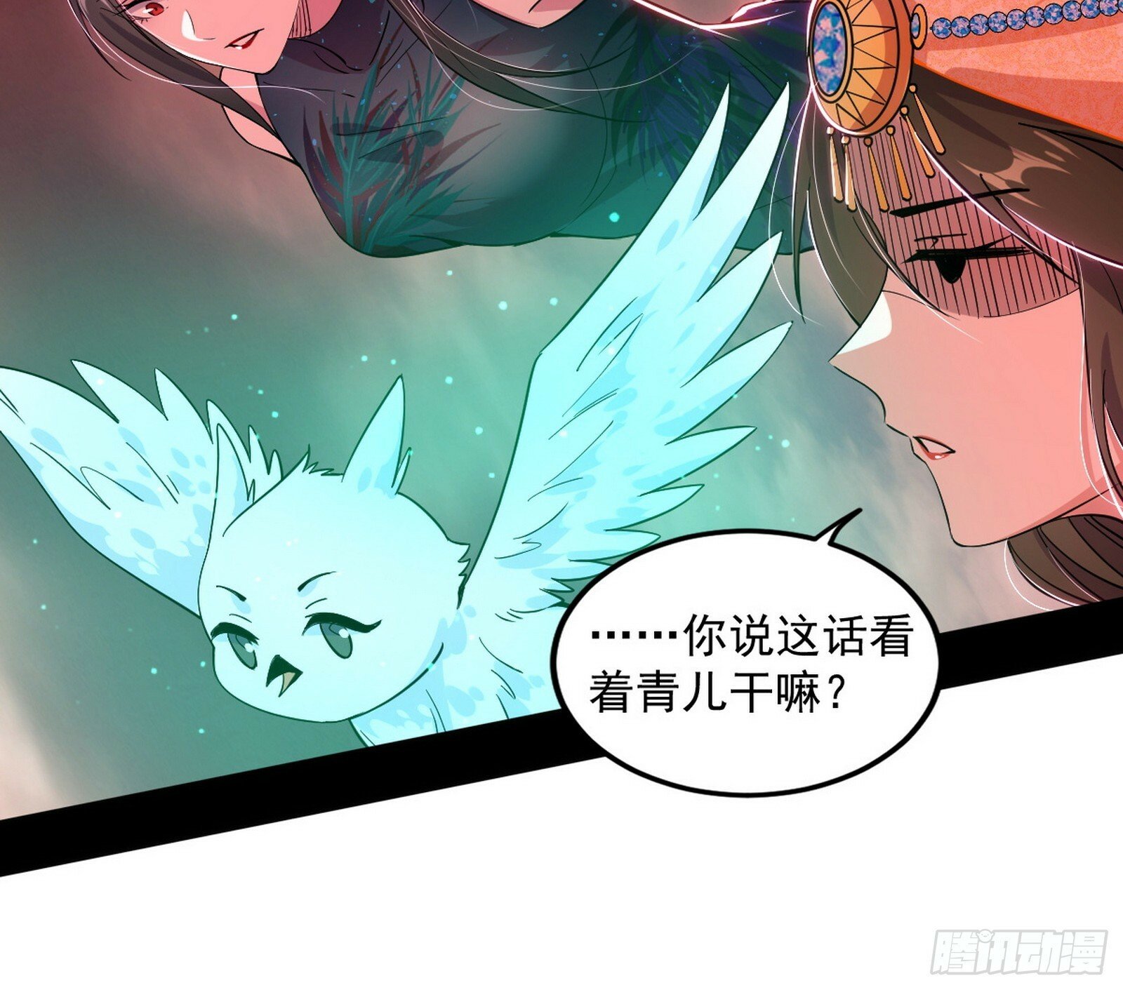 媚冷和耳廓狐112