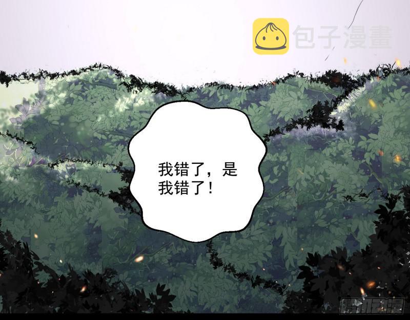 尘埃落定135