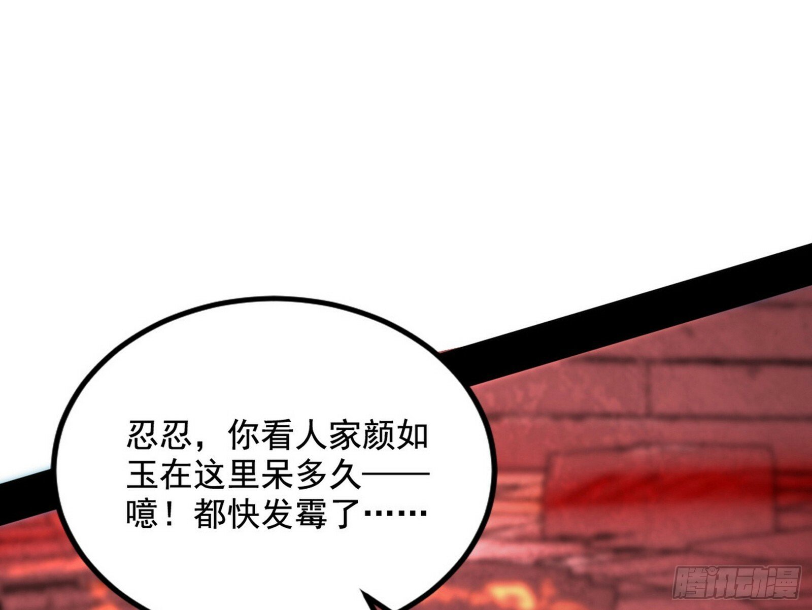 媚冷和耳廓狐8