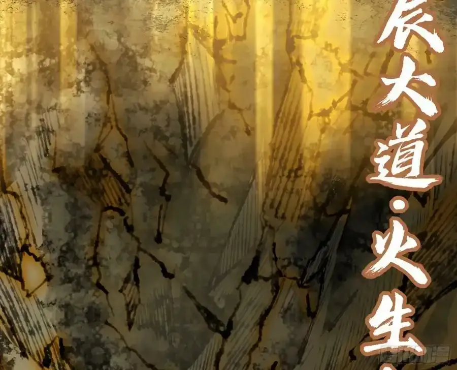 化神VS化神98