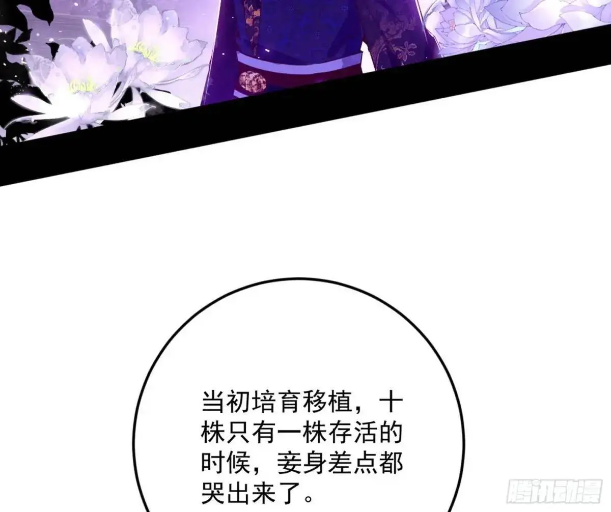 域外诸天真相和练绮罗的约会85