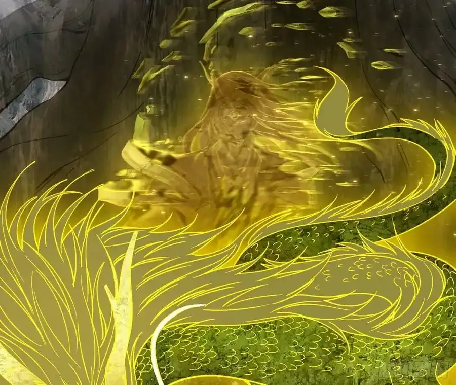 化神VS化神142