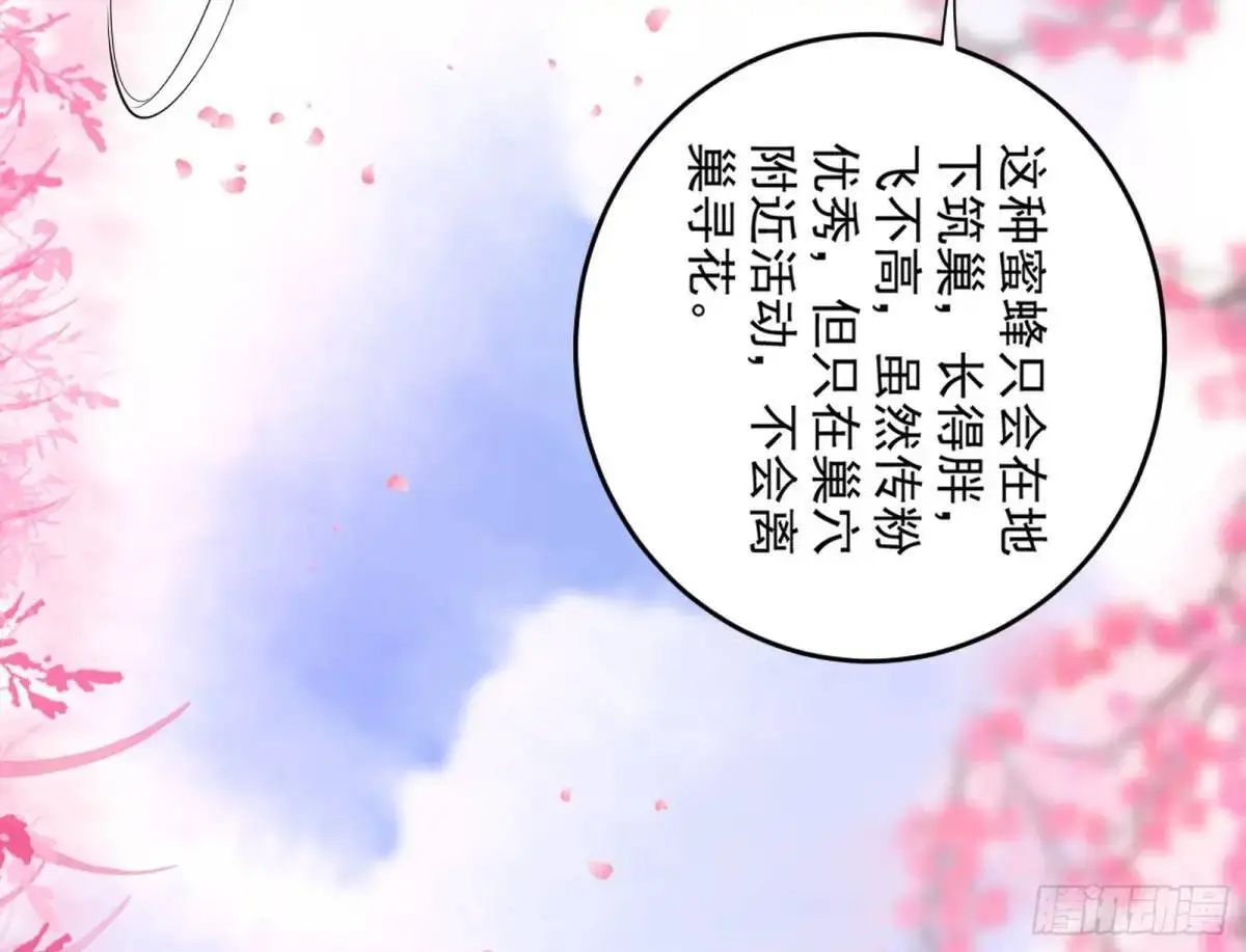 练绮罗的理由和姬云涛的梦境41