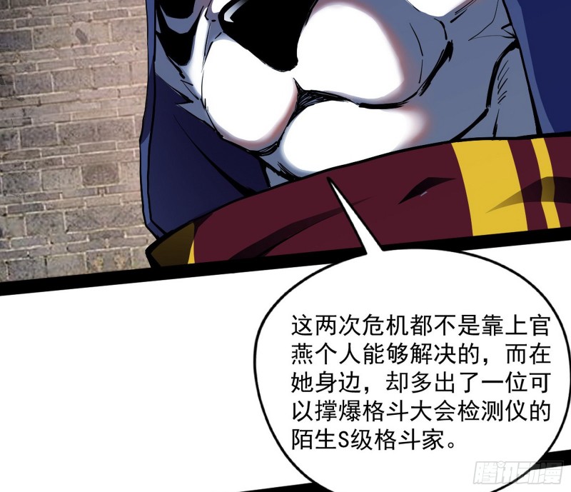 神秘的S级格斗家89