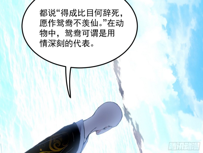 谢道韫的考察98