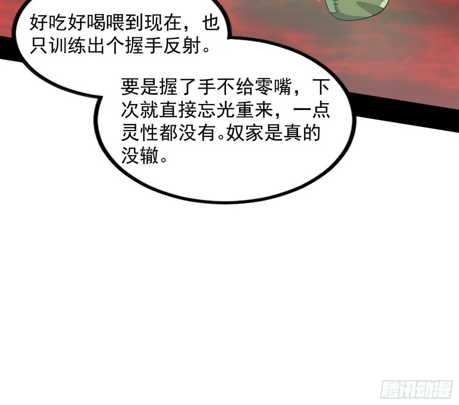 媚冷和耳廓狐108