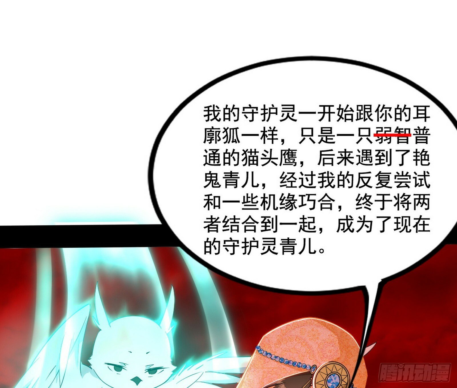媚冷和耳廓狐41