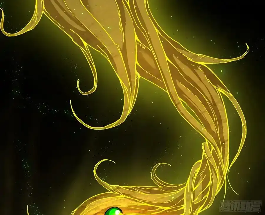 化神VS化神15