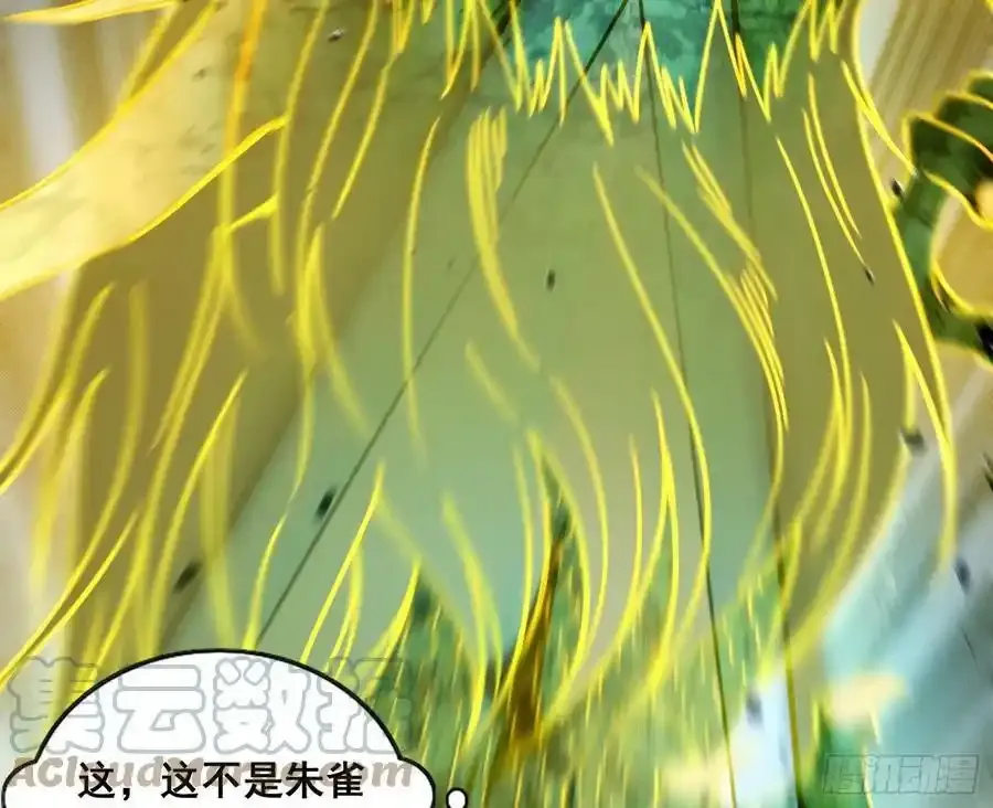 化神VS化神120