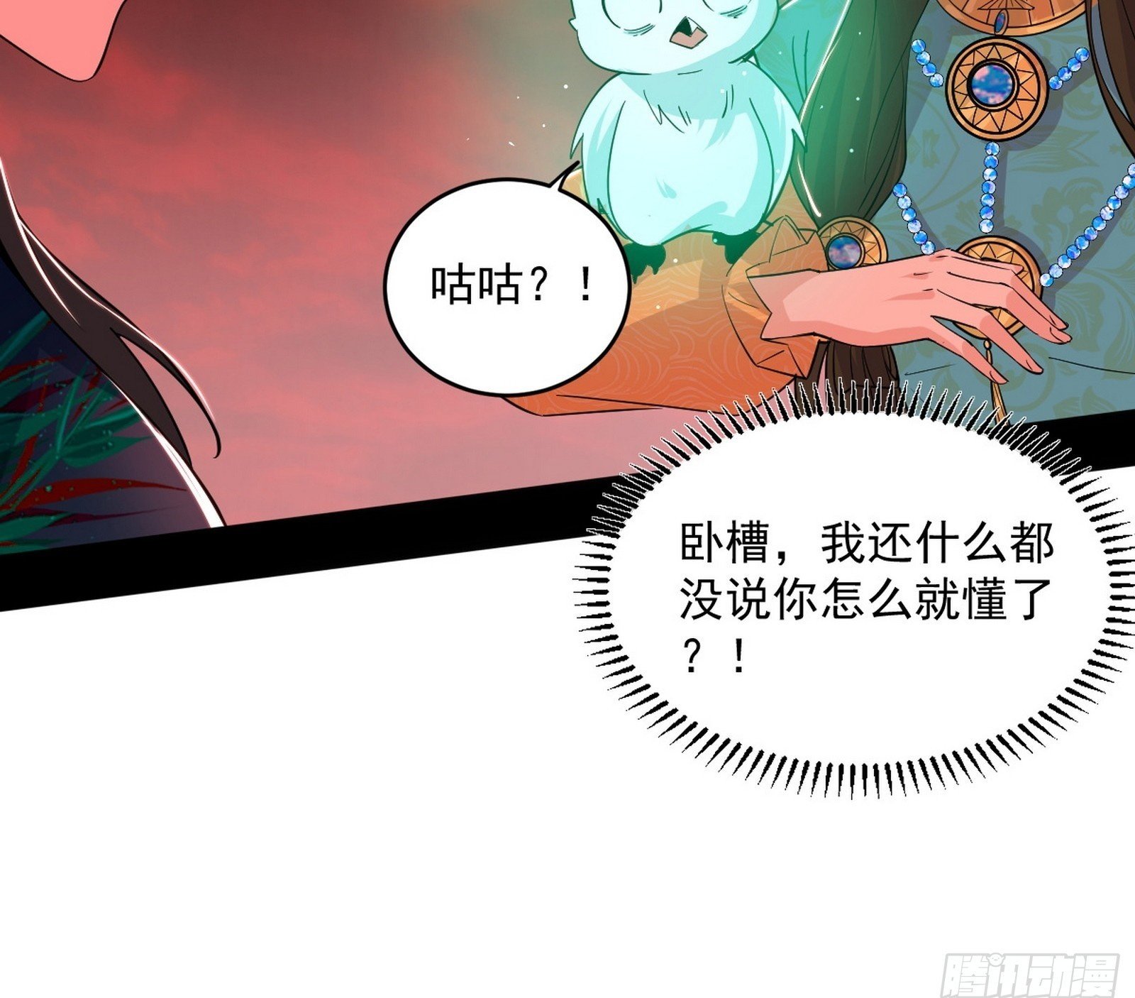 媚冷和耳廓狐49