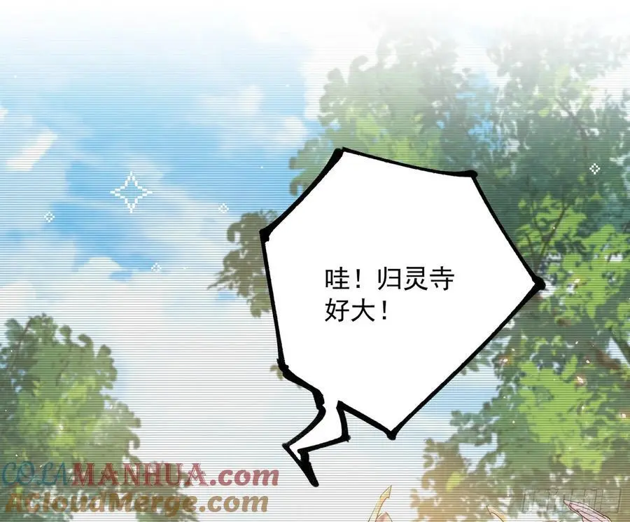 无解的真相20
