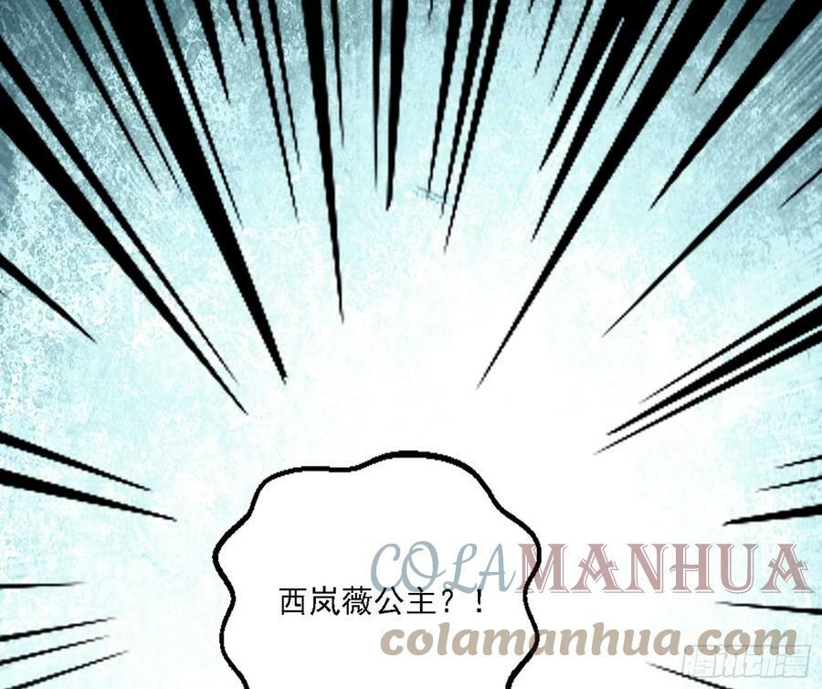 西岚公主西岚薇12