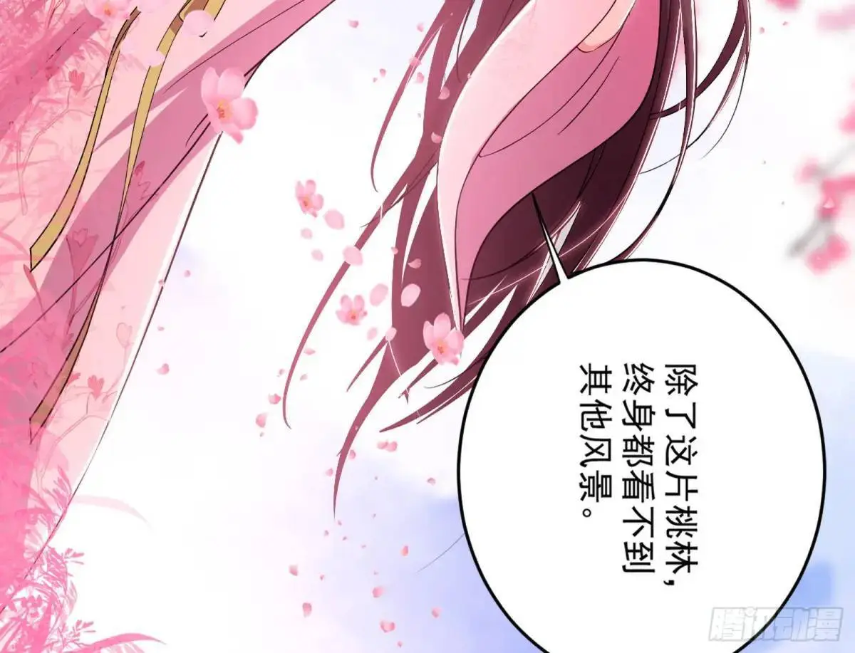 练绮罗的理由和姬云涛的梦境45