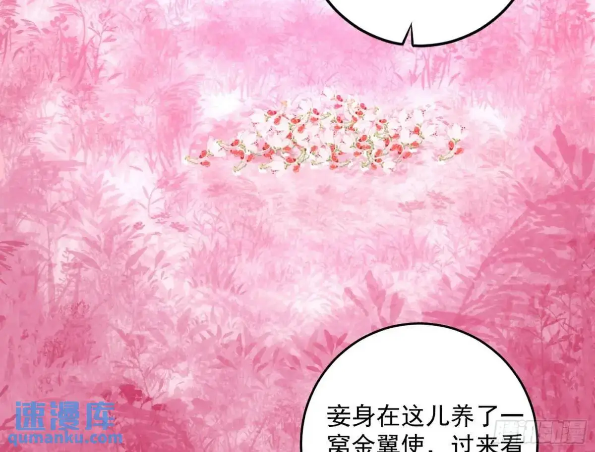 练绮罗的理由和姬云涛的梦境29