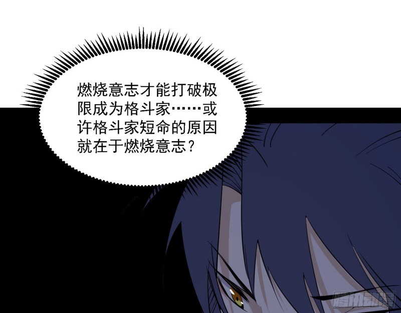 格斗士与格斗家41