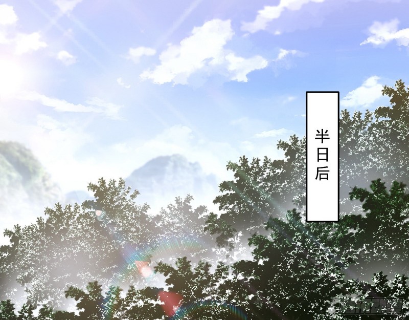 不开窍的谢道韫2