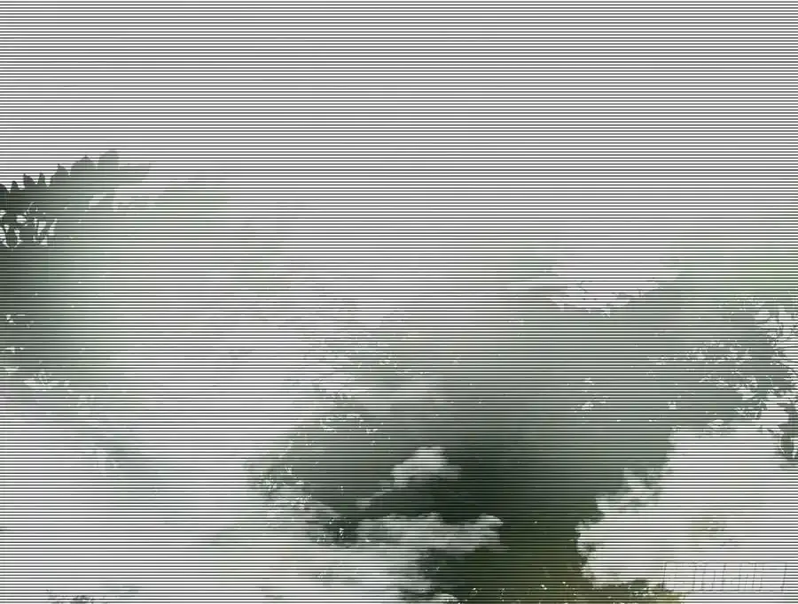 化神剑修与称号再现75