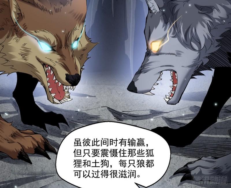 金刚芭比25