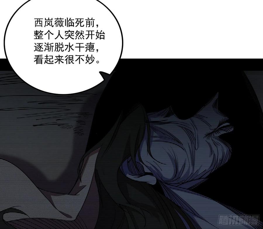 西岚宝库51