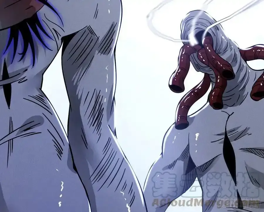 化神VS化神212