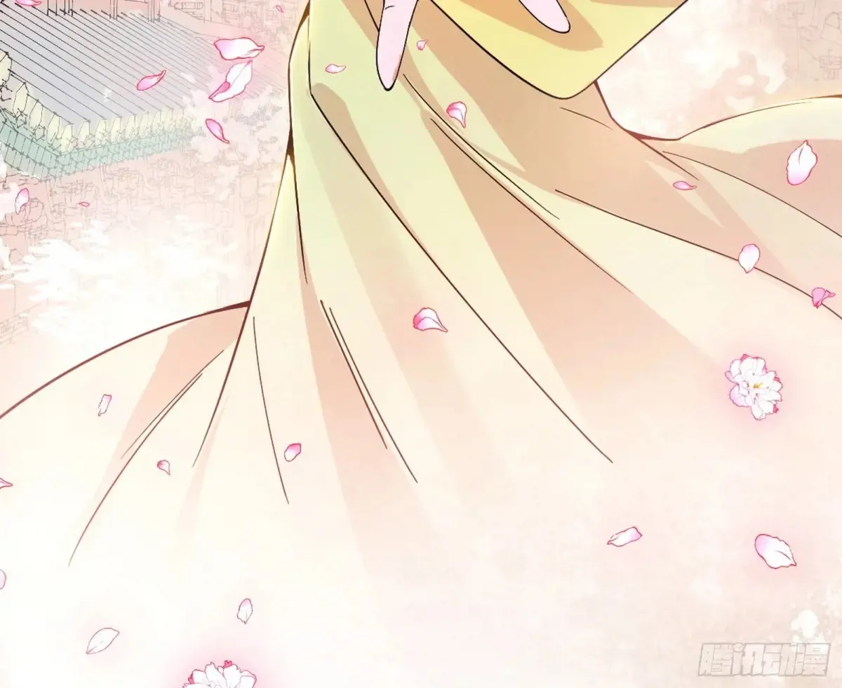 花朝伦魁31