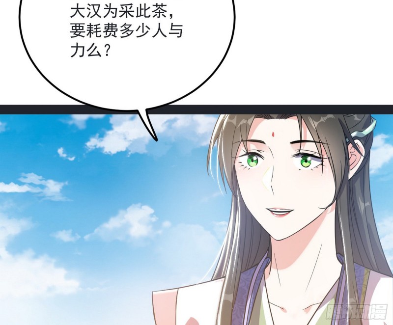 谢道韫的考察66