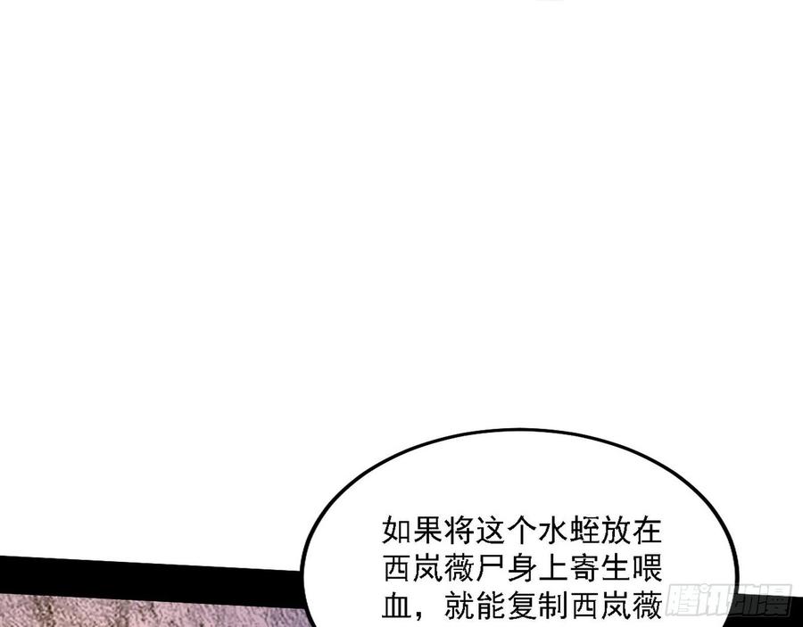 西岚宝库71