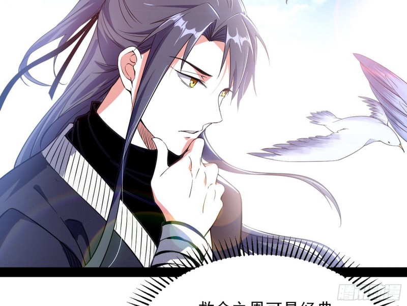 格斗姊妹花55