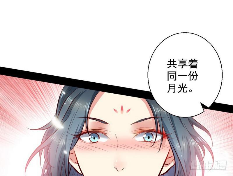 生怕情多累美人59