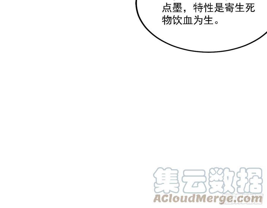 西岚宝库68
