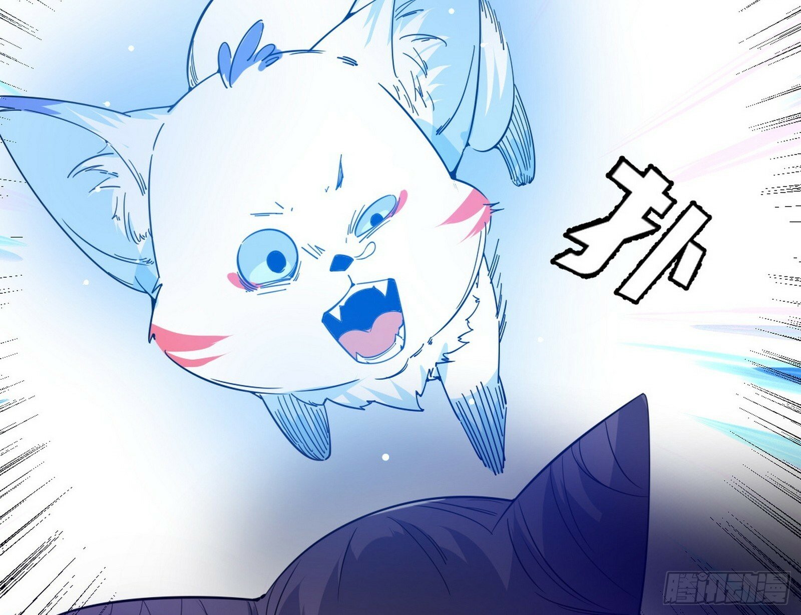 媚冷和耳廓狐58