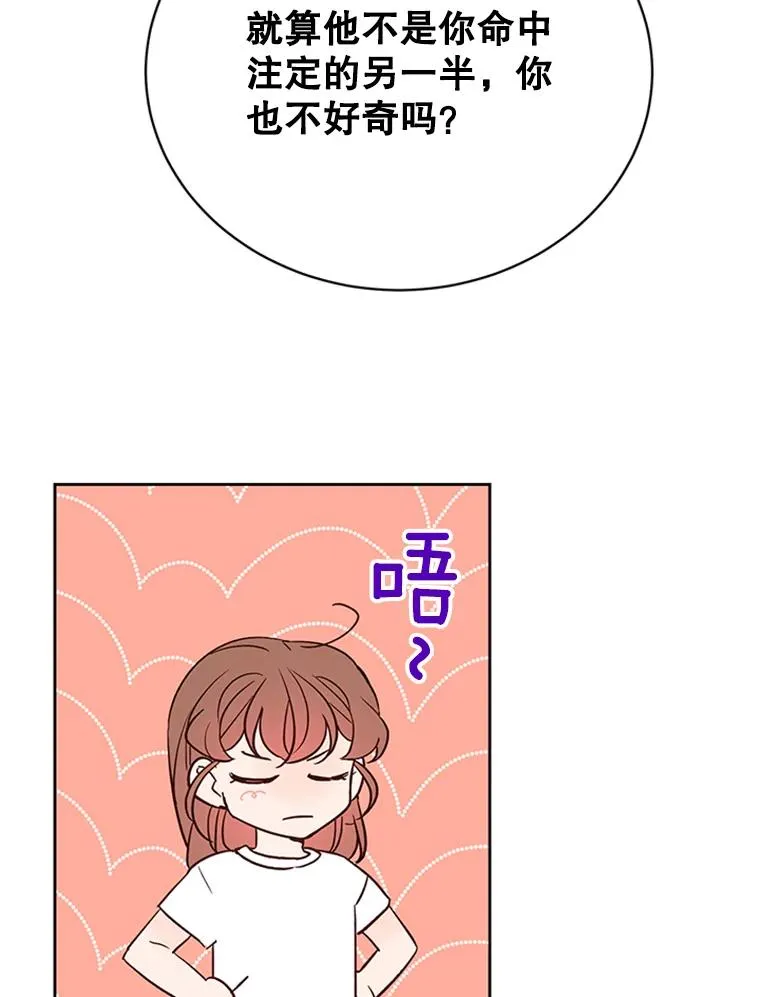 66.圆满结束27