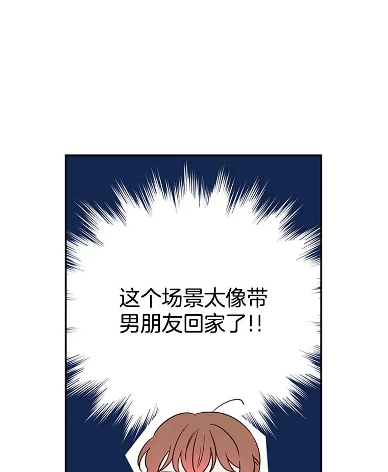 29.带着“男朋友们”回家41