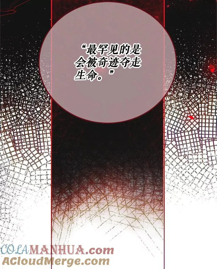 50.创造的奇迹48