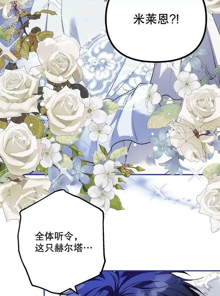 38.意外的发现81