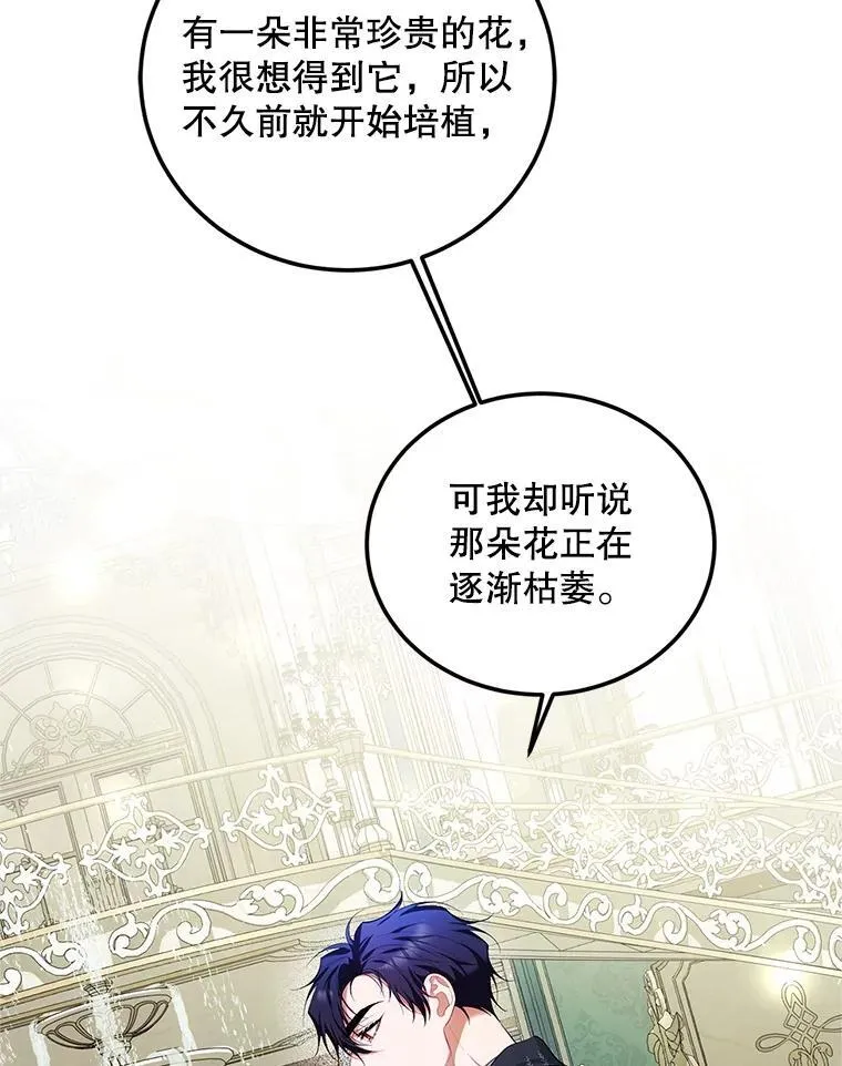 56.人比黄花34