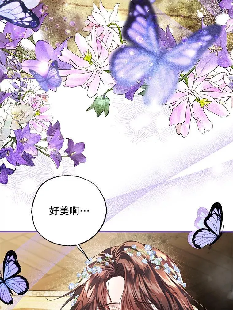 40.新的希望22