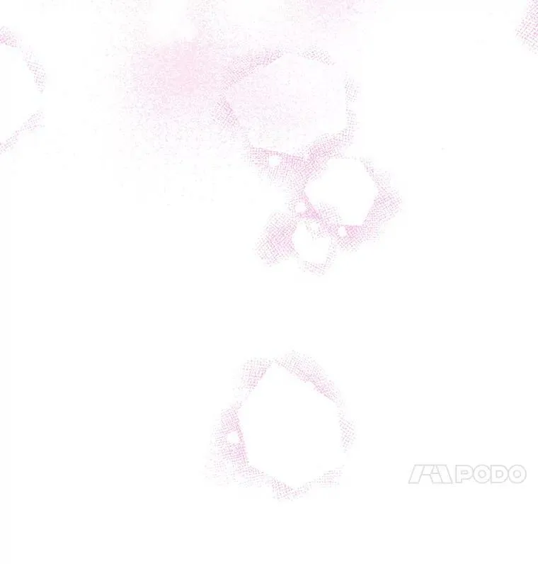 33.茶话会37