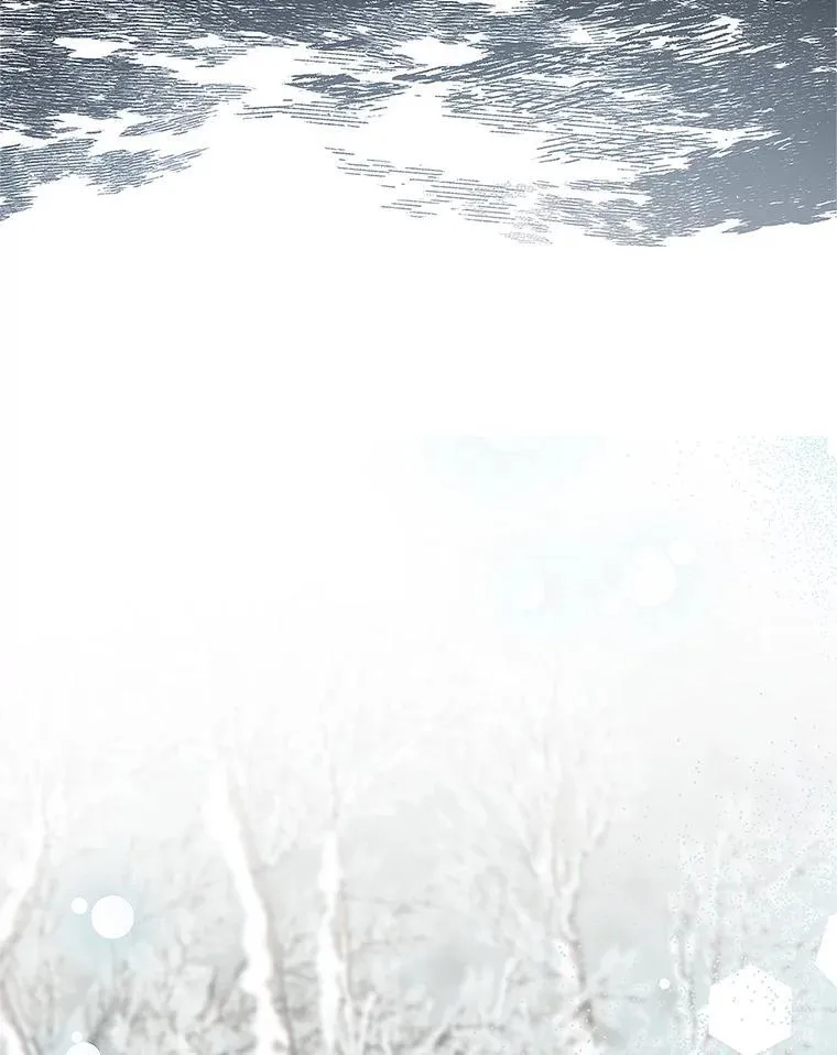60.雪落即白13