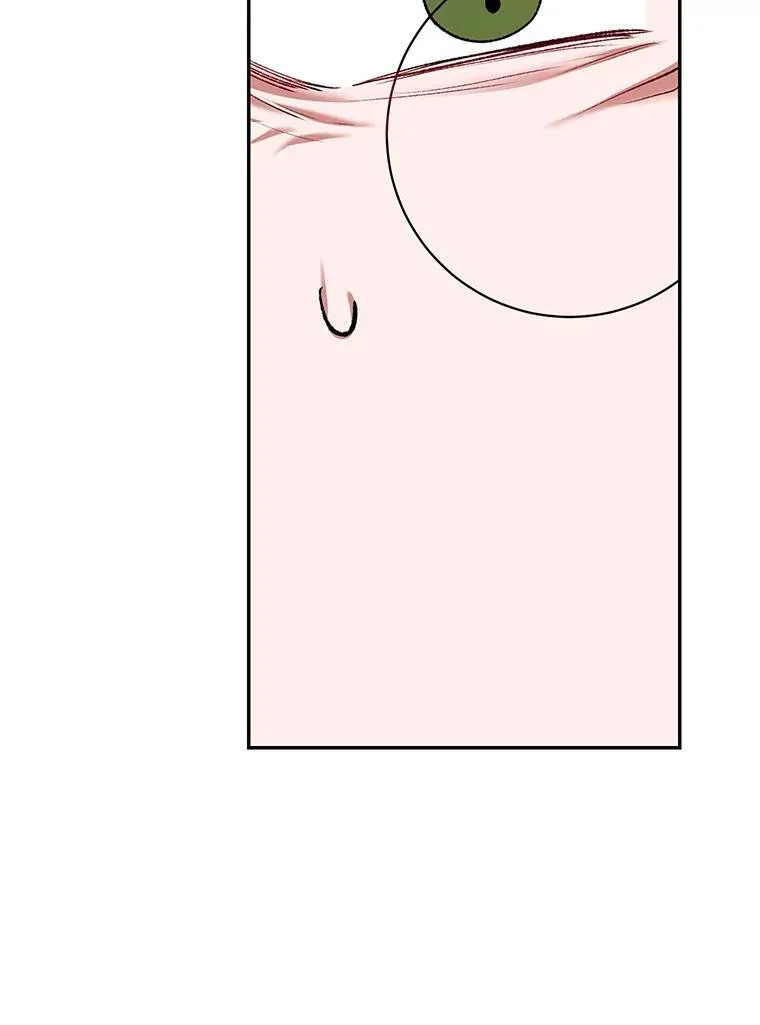 66.正当其时41