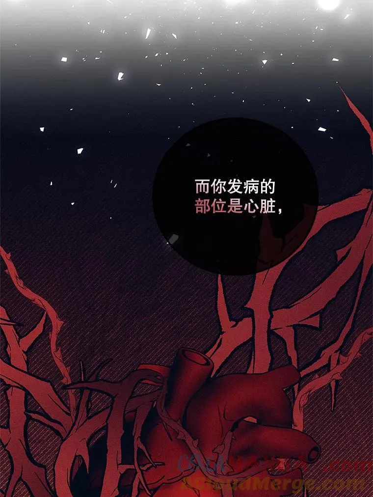 60.雪落即白52