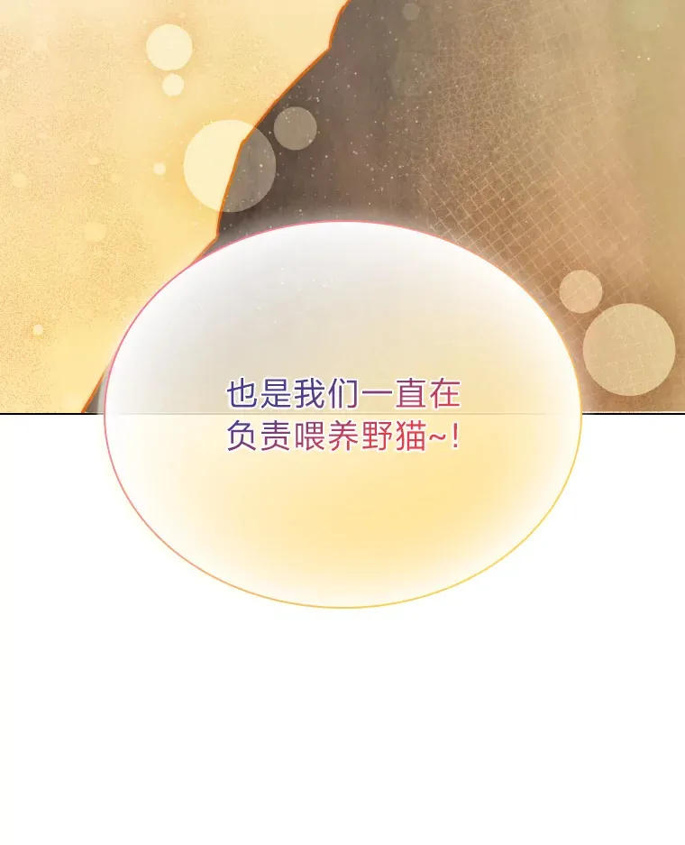 13.真实的“模样”61