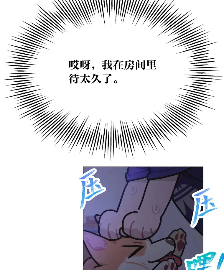 15.糊团开直播15