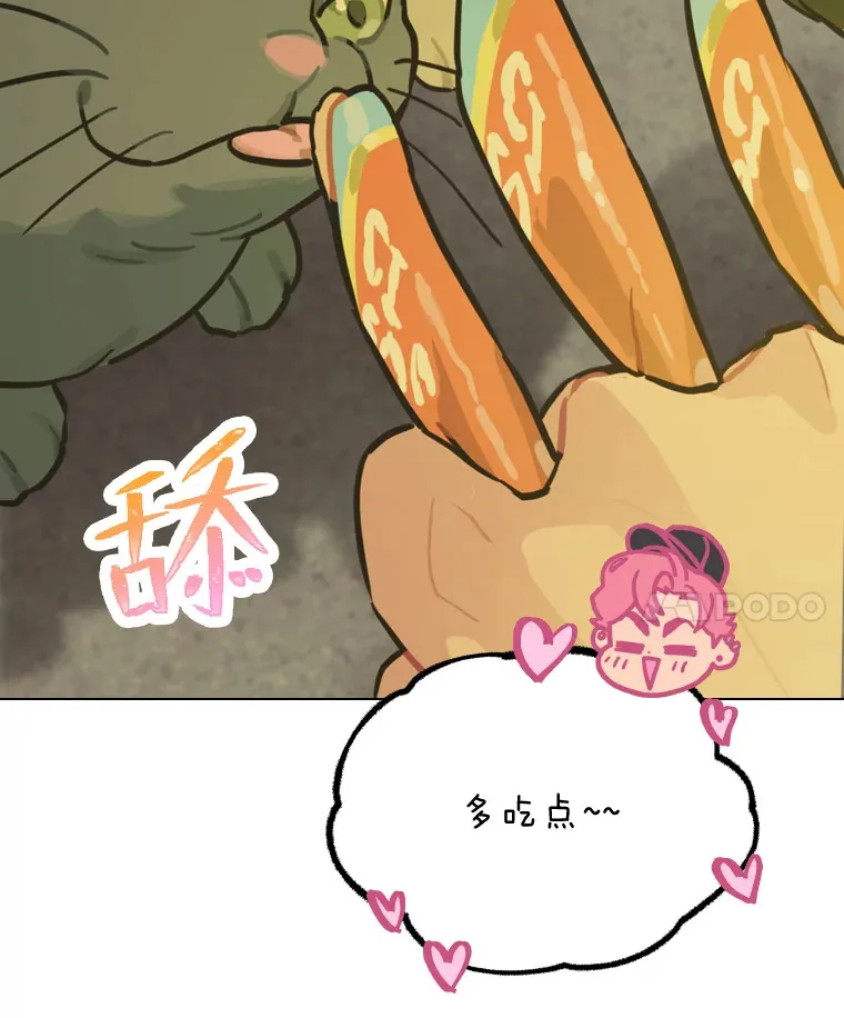 13.真实的“模样”13